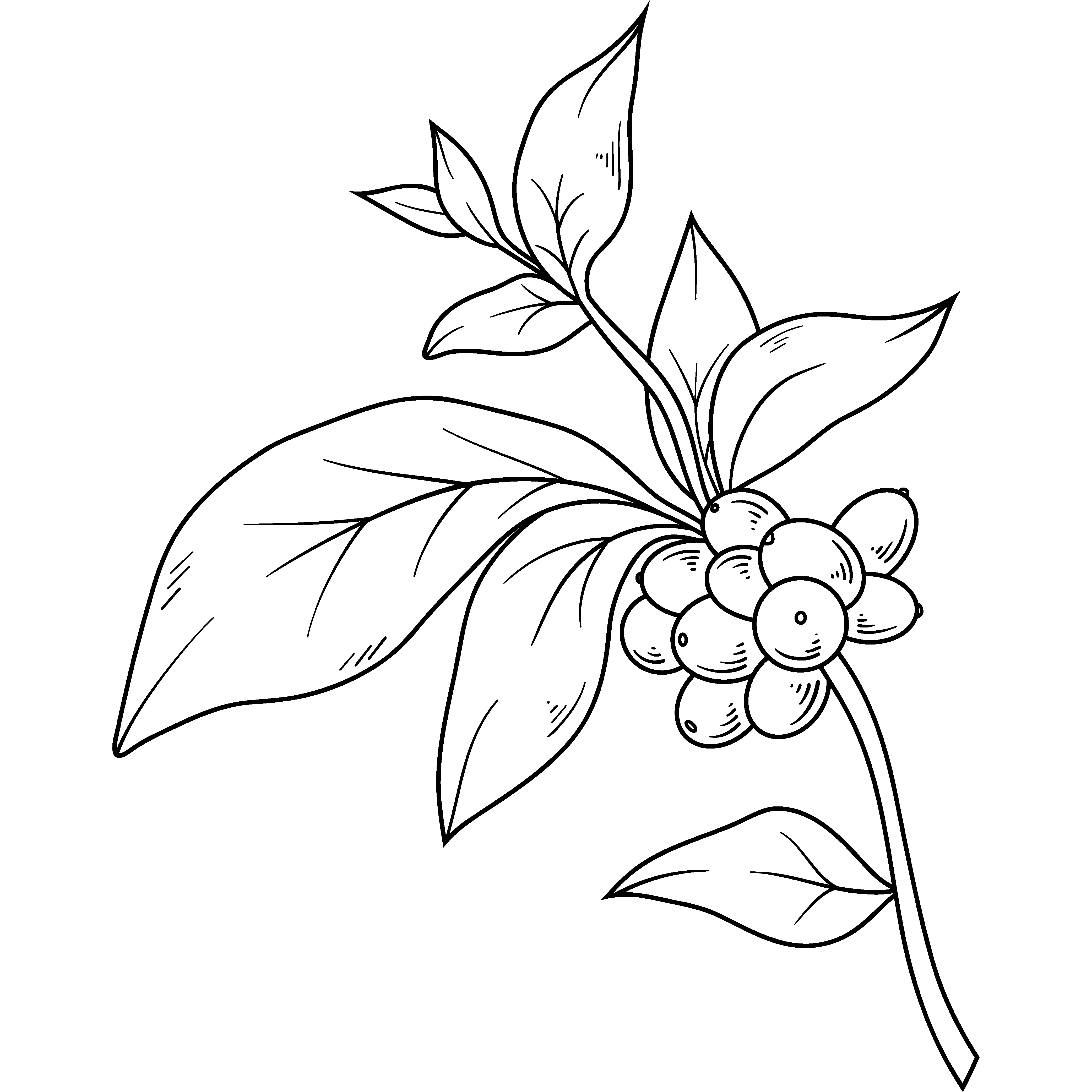 Hand-drawn  illustration used for the "About Us" page.