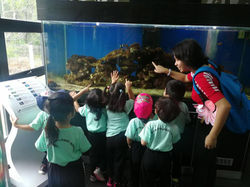 31938247_1587912101321260_19363071712768