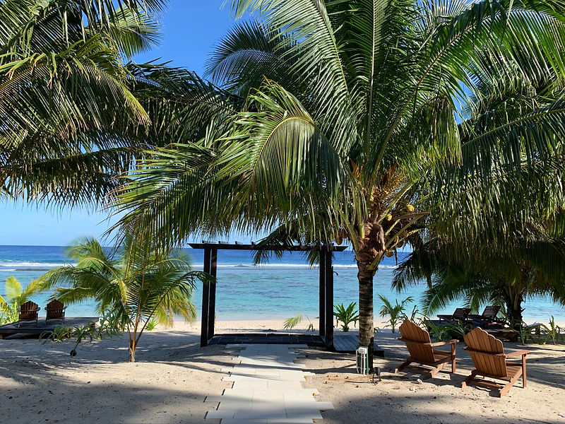 Coconut palm trees and a timber pergola framing the turquoise ocean