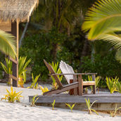 Sun loungers tucked among tropical palms on white sand