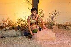 Desert Rock Garden