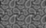 1-18782_black-and-white-paisley-wallpape