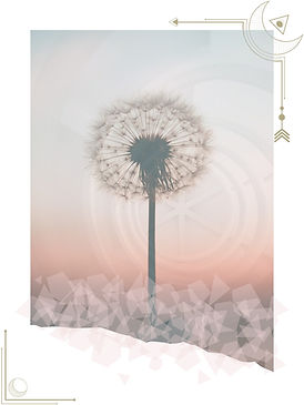 sacred-geometry-arwyn-podcast-image-tall06.jpg