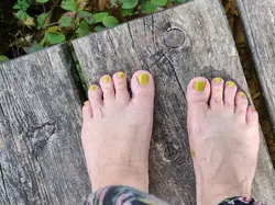 38064037-531e-4467-a65a-966d80ac3535