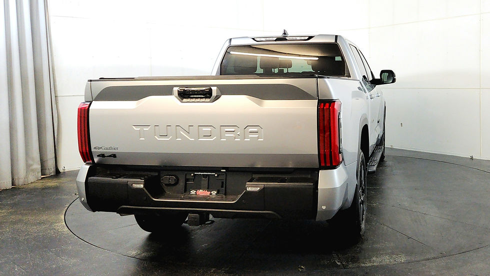 P81193A Rear.jpg