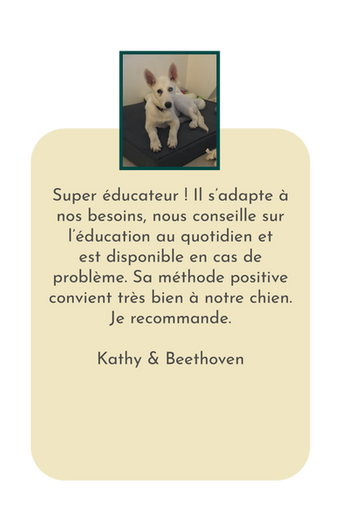 un avis positif sur un éducateur canin à Rennes