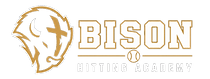 Bison Hitting Academy logo for private youth baseball hitting lessons near Fishers, Indiana