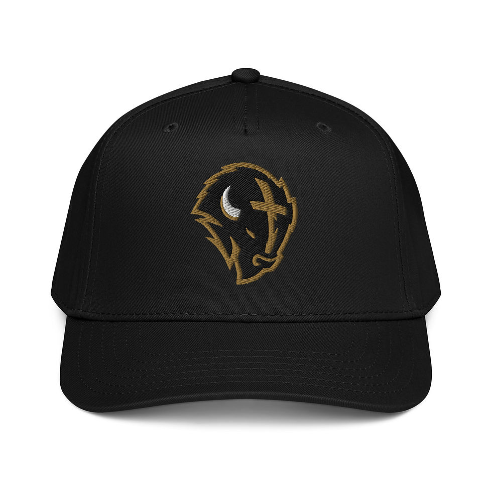 Thumbnail: Bison Baseball 5 Panel Snapback Hat