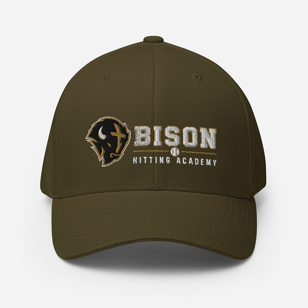 Thumbnail: Bison Baseball Stretch Fit Structured Hat