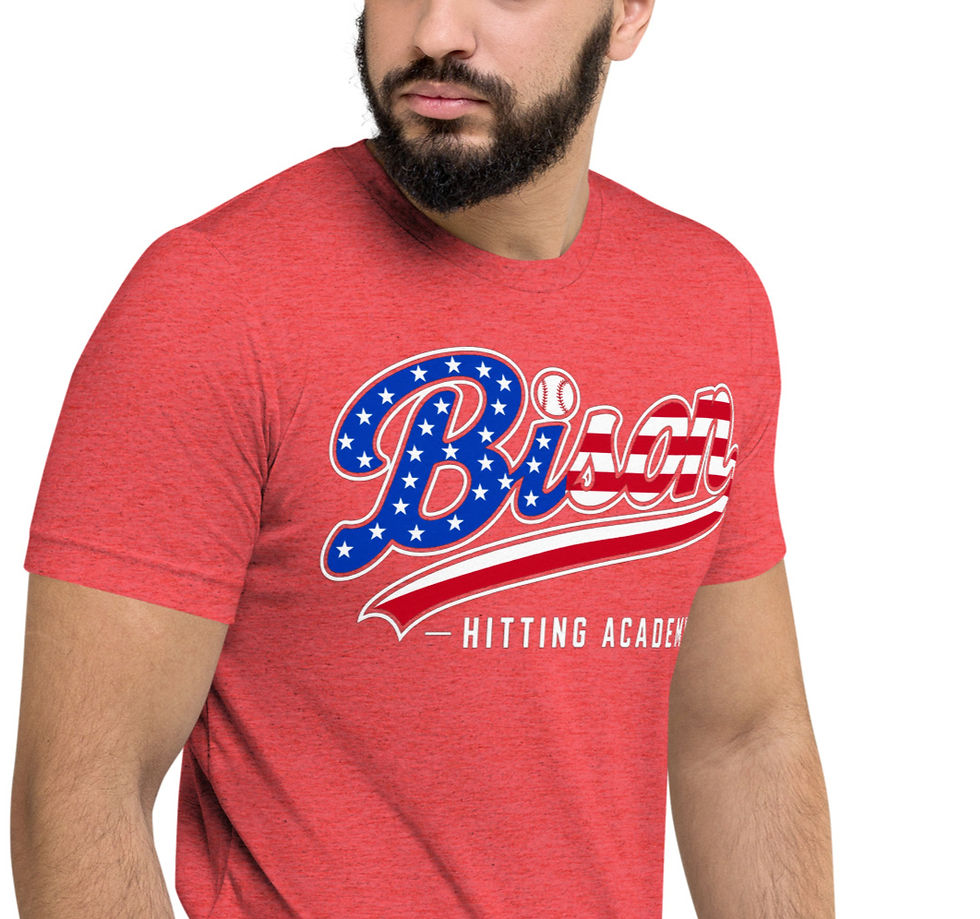 Thumbnail: Adult America Themed Bison Baseball T-Shirt - Faith, Fastballs, & Freedom 