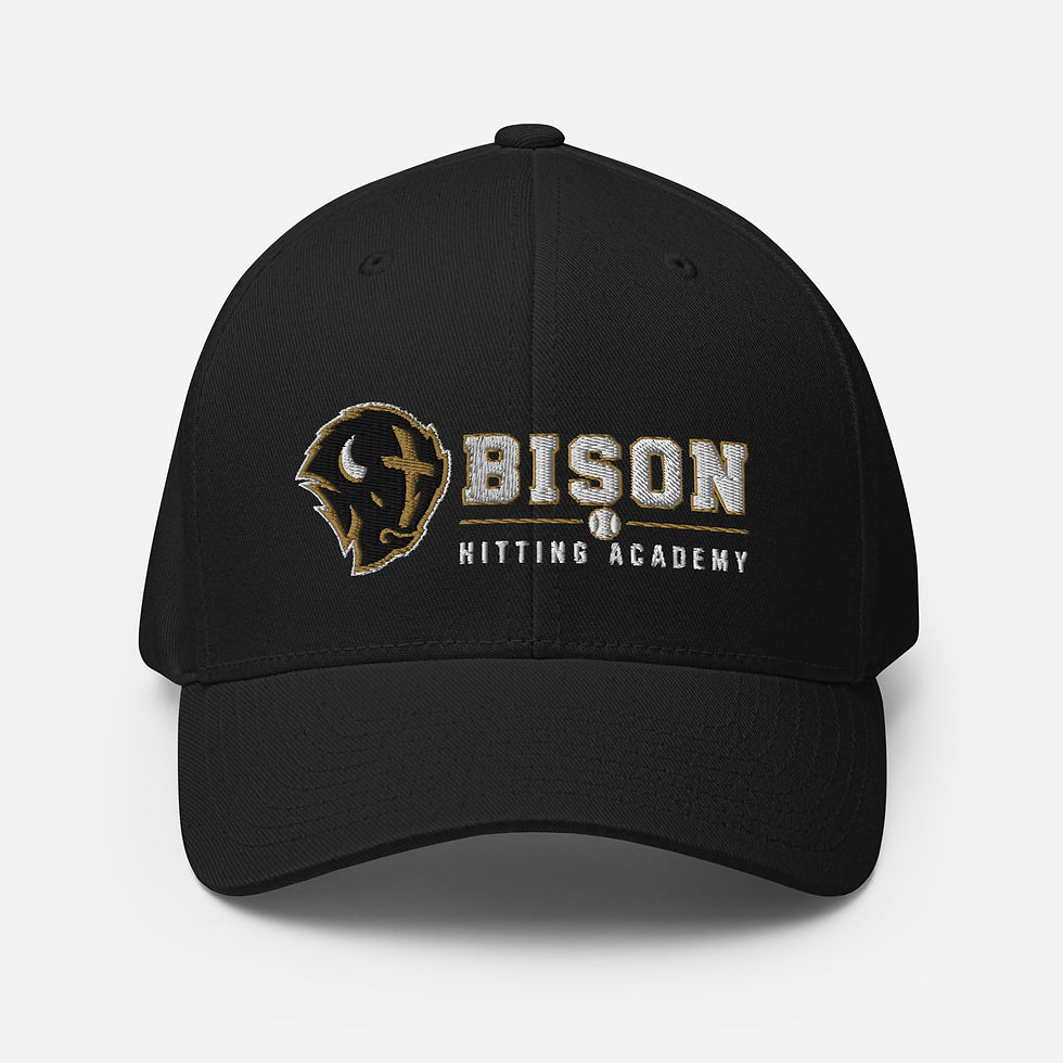 Thumbnail: Bison Baseball Stretch Fit Structured Hat