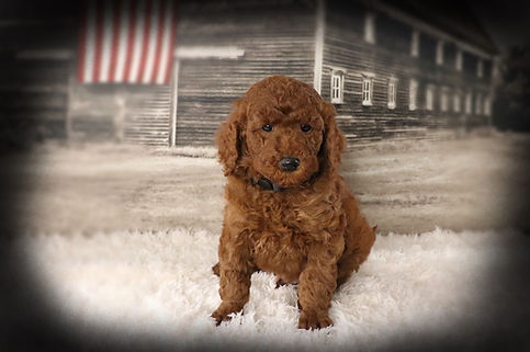 10-Glow-7 weeks-no name.JPG