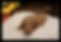 3-Archer-3 weeks.JPG