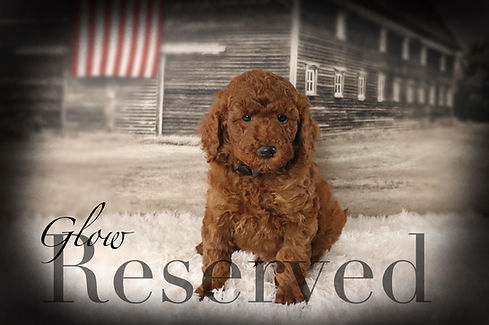 10-Glow-7 weeks-reserved.JPG