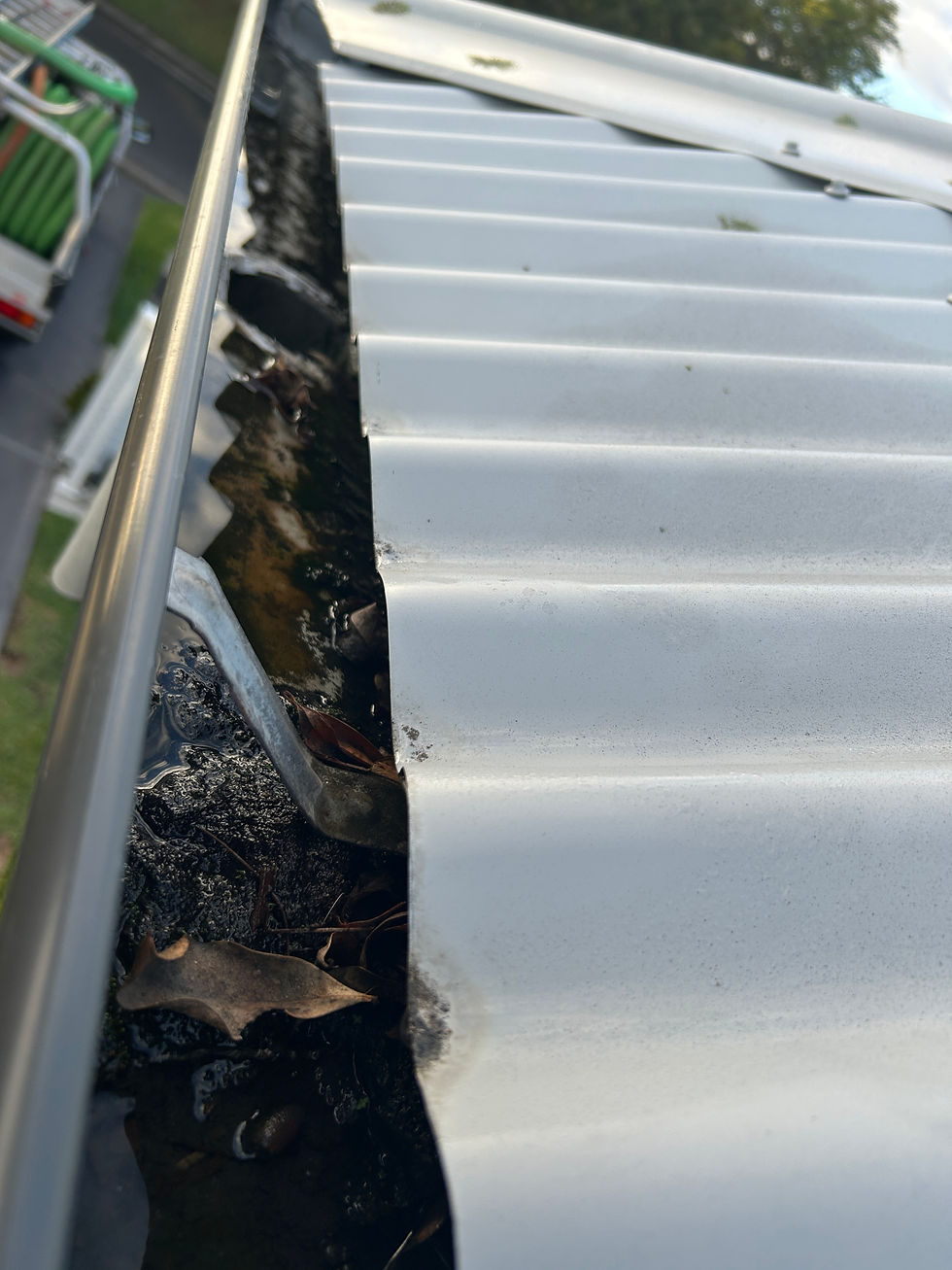 Case Study: Colorbond Gutters Restored on a Newcastle Home