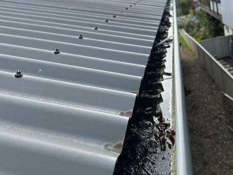 Case Study: Gutters Cleaned and Downpipes Cleared on a Lake Macquarie Double-Storey Home
