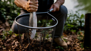 Fish Hatchery needs more support