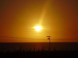 Matosinhos
