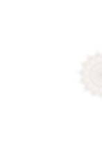 White background with grey mandala