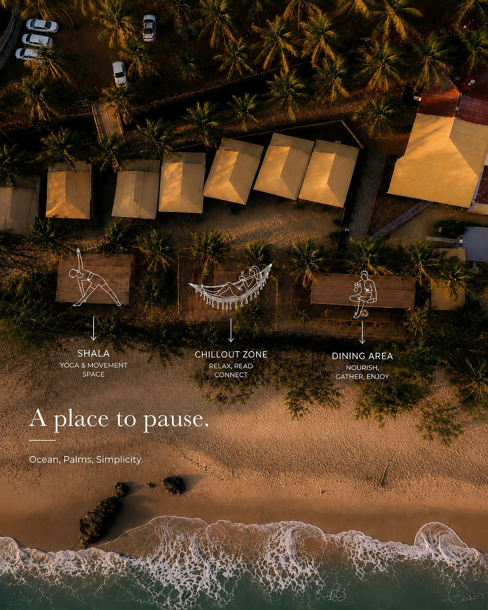 Aerial view of yoga retreat venue Goa on the beach