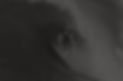 13_edited.jpg