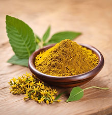 image of ayurvedic herb.jpg