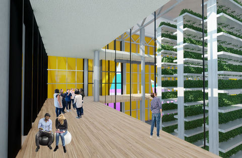turning-garbage-dumps-into-proactive-parks