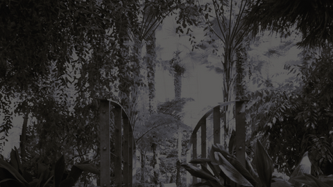 INTERNATIONAL DESIGN COMPETITION