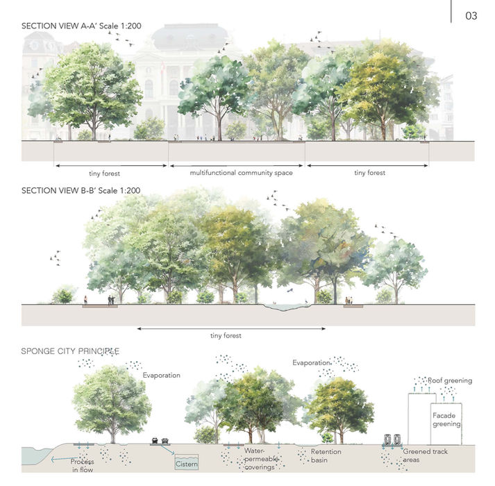 ROOTING FOR CHANGE - A sustainable project for the future of Sechseläutenplatz