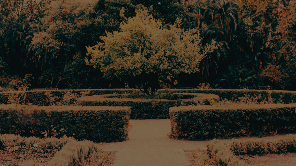 HEALING GARDENS