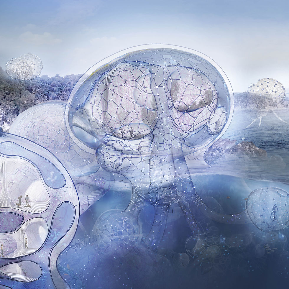 Jellyfishing Village
