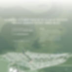 Autonomous settlement based on the village - of TroitskayaVihlyaika, Sosnovsky District, Tambov Oblast