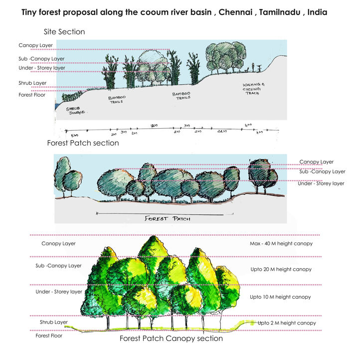 Rejuvenation of Cooum River Bank, Chennai with a proposal of Tiny forests