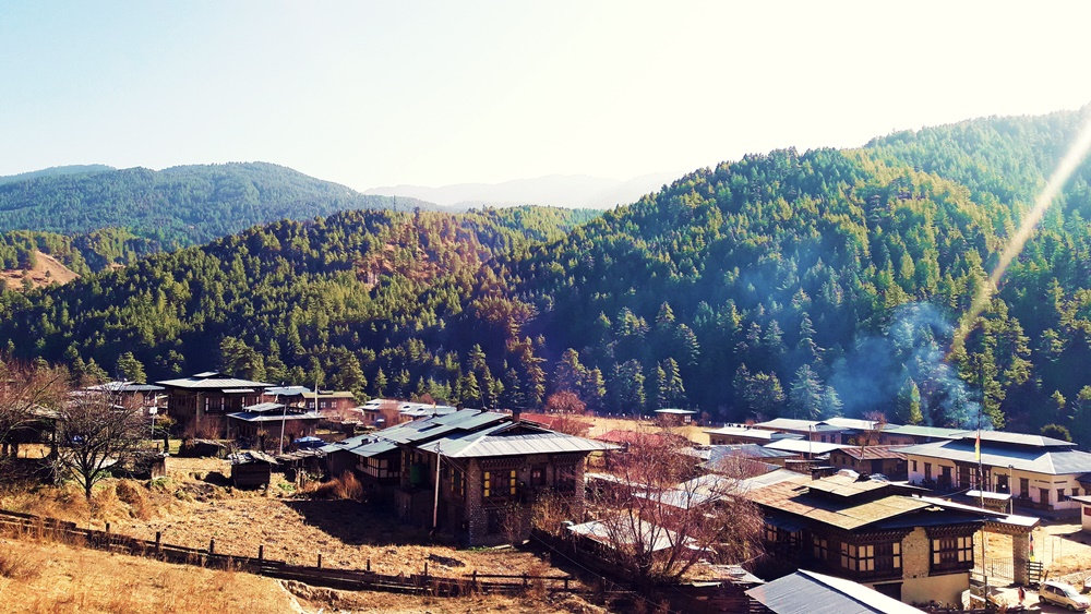 Architecture is NOT art