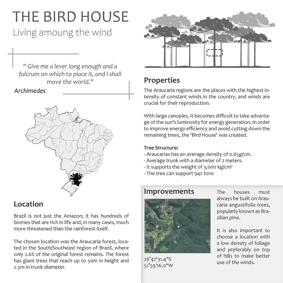 Bird House - Living Among the Wind
