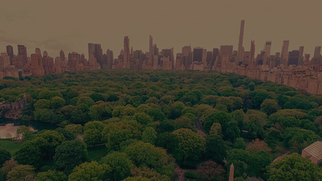 International Design Competition