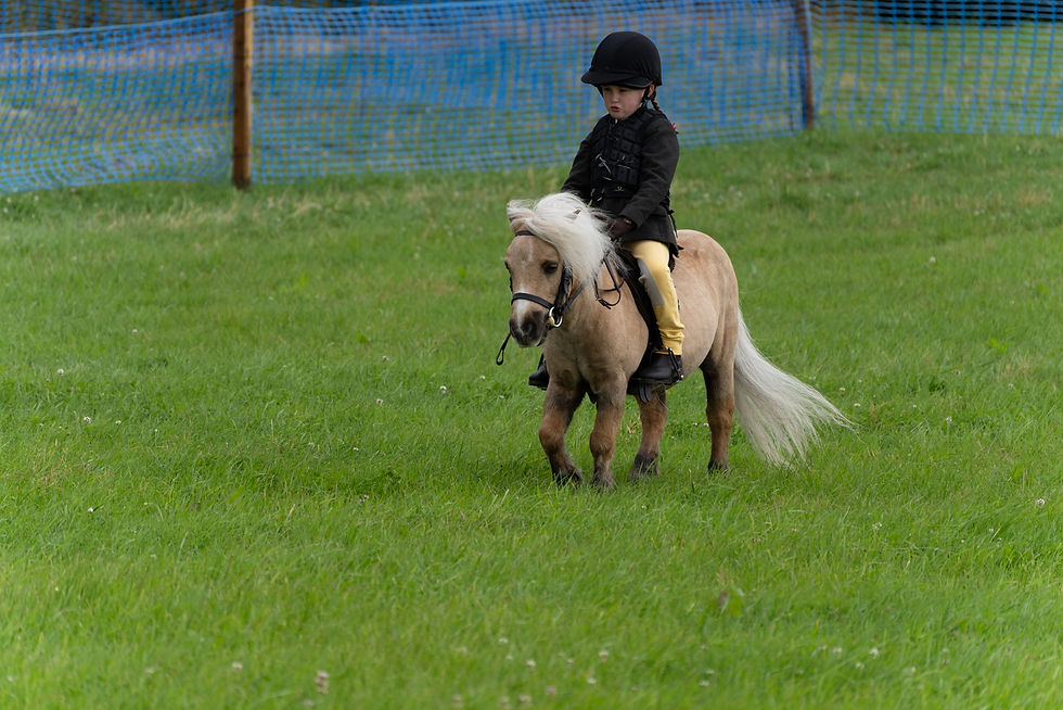 EKFarmShowPonies-09809