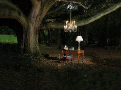 Chandalier home