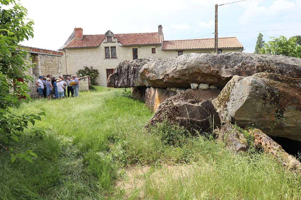 La Pierre-Folle : un dolmen hors norme et un site exceptionnel