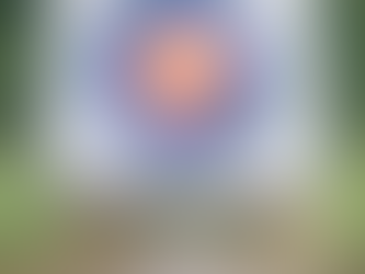 Satış Yöneticisine Mektup