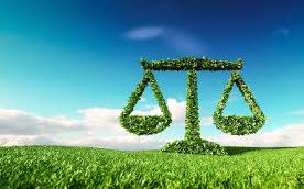 Direito ambiental: um pilar para a sustentabilidade no Brasil.