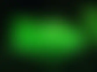 🌌 A Floresta Mágica que Brilha no Escuro na Austrália.Um espetáculo da natureza que parece de outro mundo!