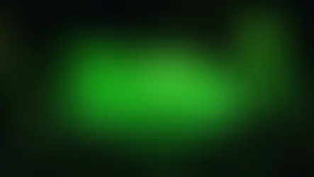 🌌 A Floresta Mágica que Brilha no Escuro na Austrália.Um espetáculo da natureza que parece de outro mundo!