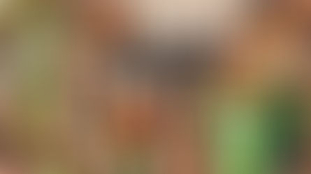 Sustentabilidade na Cozinha: receitas e dicas para reduzir o desperdício de alimentos.