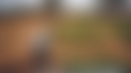 5 de Junho: celebrando e agindo pelo nosso planeta no Dia Mundial do Meio Ambiente.