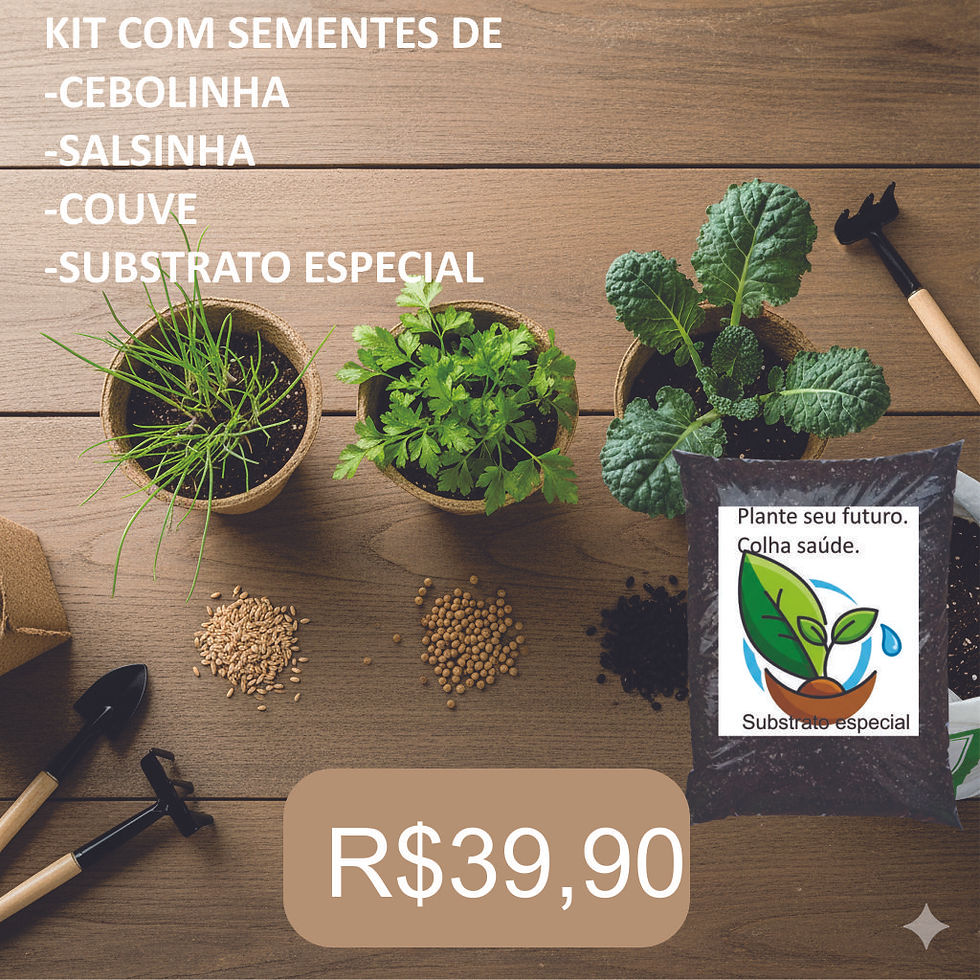 KIT PLANTIO VERDURAS