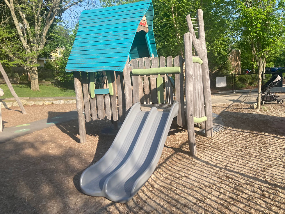 Spy Pond Work Day!