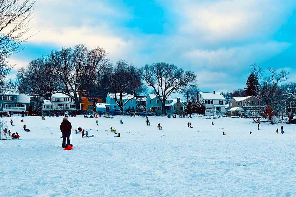 Sledding at Robbins Farm Park on Jan 19th (from friends of Robbins Park Facebook)