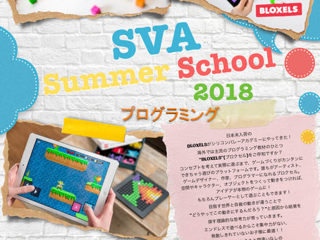 サマースクール:プログラミン