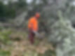 IMG_2163.jpeg